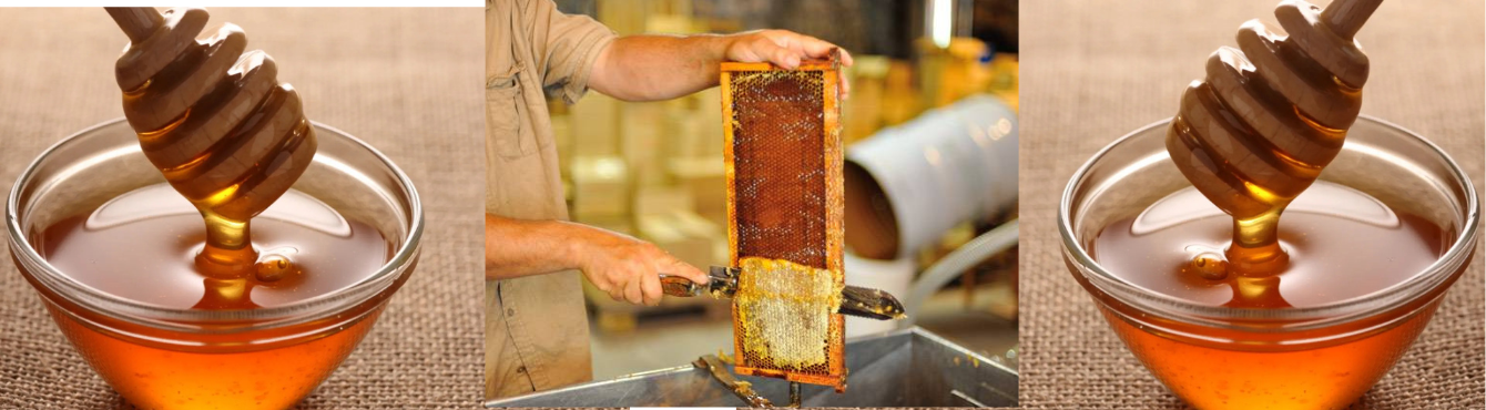 Comprar miel gallega | Atilano Anllo